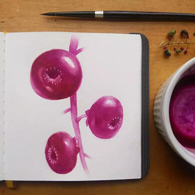 Pokeberries (painted with pokeberry ink)