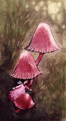 Bleeding Fairy Hat Mushroom